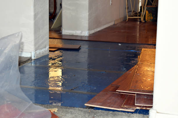 Professional Burst Pipe Cleanup technician working in Whately, MA